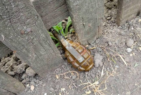 Опубликовано видео, как запорожская полиция обезвредила мужчину, угрожавщего им гранатой