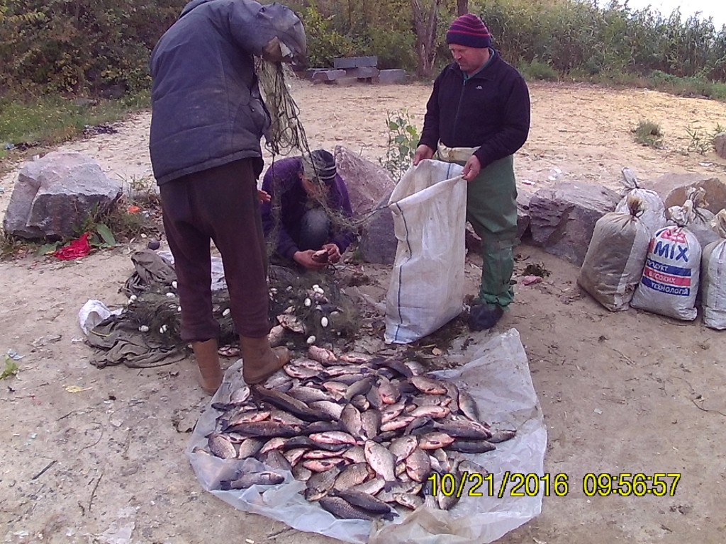 В Запорожской области браконьеры работают под прикрытием Рыбохраны — общественник