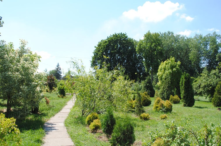 Запорожская молодежь отметит День освобождения города экологической акцией