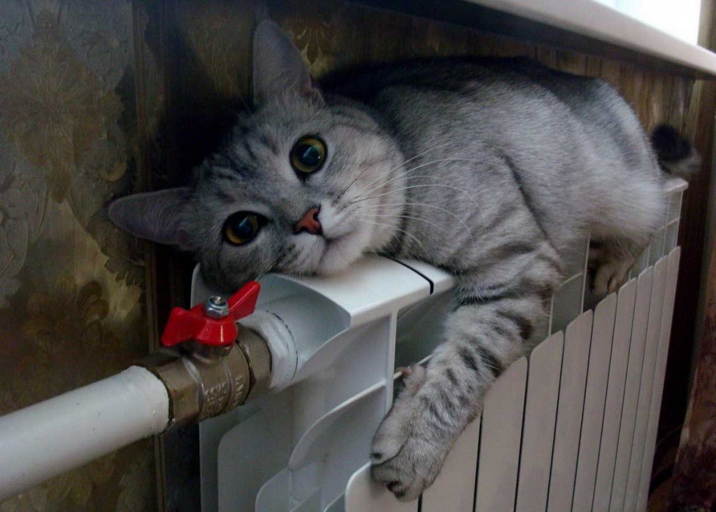 Отопительный сезон в Запорожской области может начаться на следующей неделе