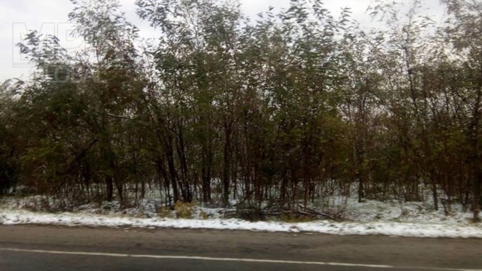 ФОТОФАКТ: В Запорожскую область пришла зима