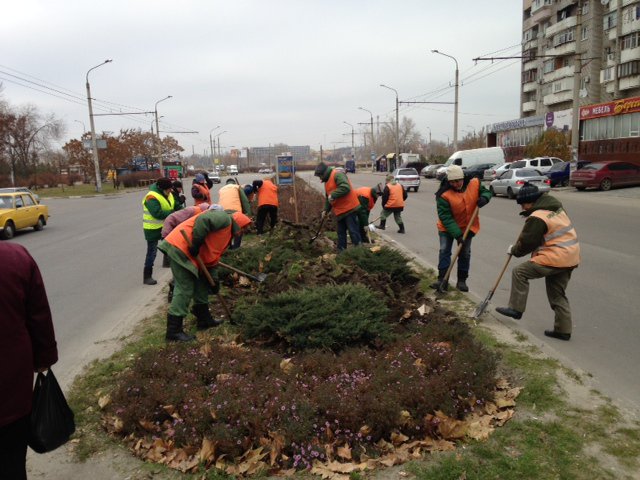 В Южном микрорайоне укладывают зеленый рулонный газон