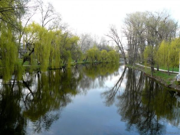 Победитель конкурса на лучший проект  реконструкции «Дубового Гаю» получит денежный приз