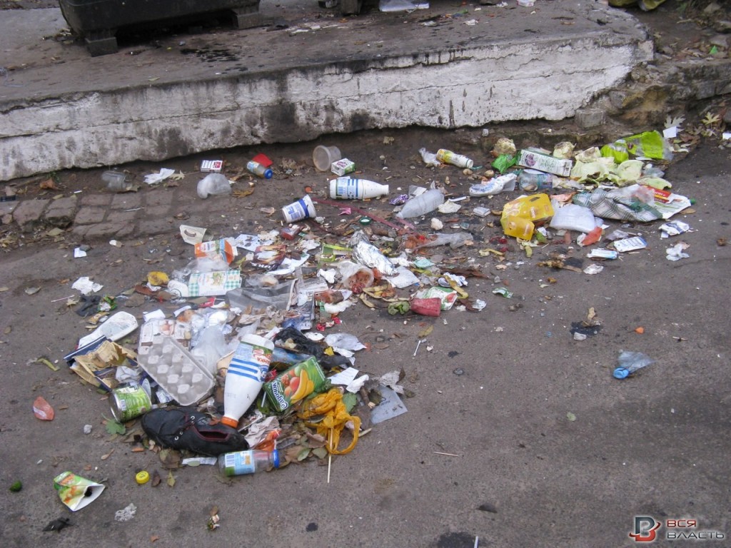 Жители Запорожья жалуются на работу служб по вывозу мусора