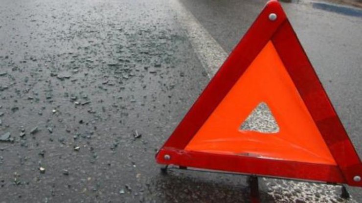 В Запорожской области перевернулось авто. Водитель погиб