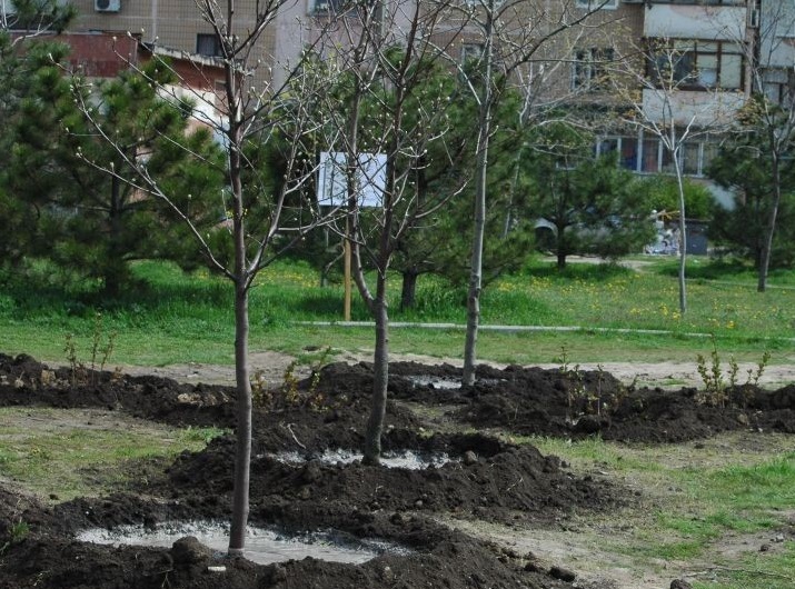Мэр Запорожья планирует вложить в озеленение города 40 миллионов гривен
