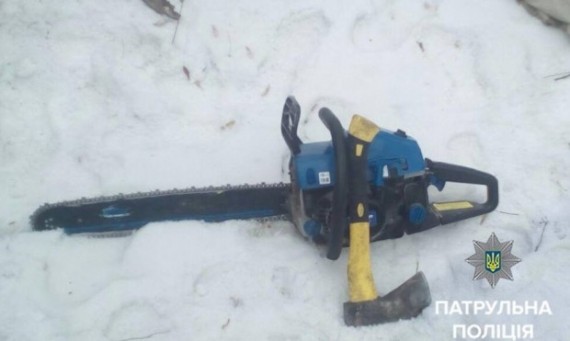 В Запорожье задержали лесорубов, которые вырубывали посадки