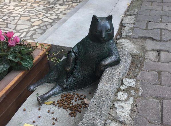 В Запорожье может появиться памятник коту