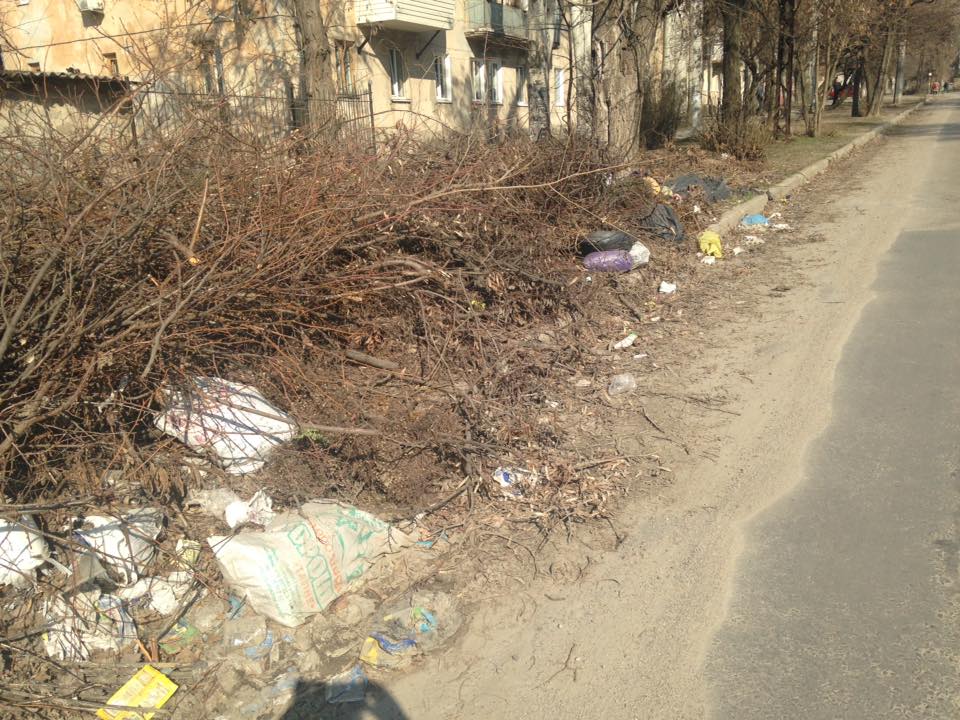ФОТОФАКТ: в Шевченковском районе Запорожья мусор препятствует движению машин