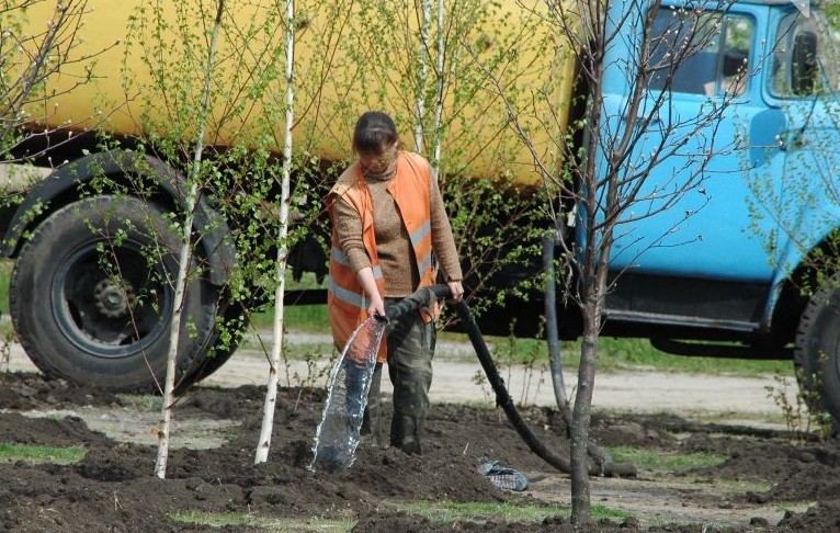 Запорожцам предлагают на прогулках проверить высадку деревьев «Зеленстроем», — адреса