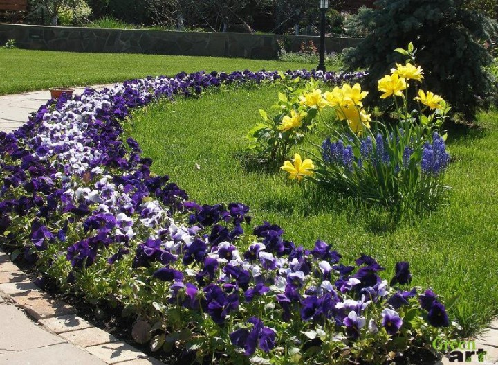 Обогатить флору Запорожья собираются «Зеленстрой» и «Титан»