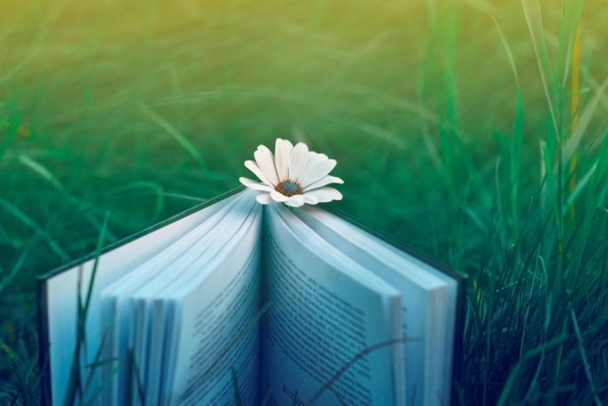 На заметку запорожцам: ТОП-5 увлекательных книг для летнего отдыха