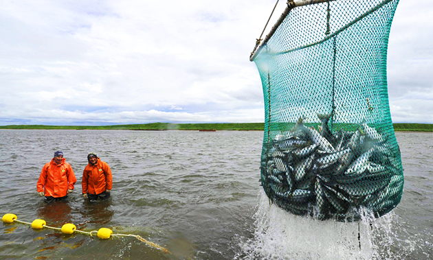 В Запорожской области отменят запрет на вылов рыбы