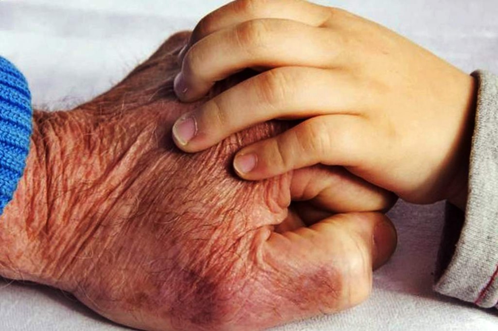 Смертность в Запорожской области в 2 раза превышает рождаемость (РЕЙТИНГ)