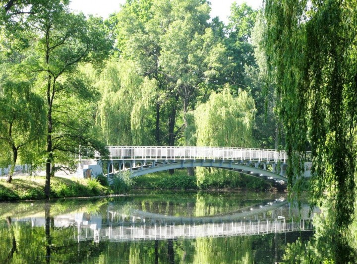 Стало известно, кто и за сколько очистит водоем в центральном парке Запорожья