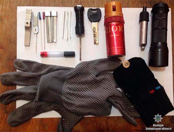 В Запорожской области задержали еще двух членов преступной группировки «Туча» (ФОТО)