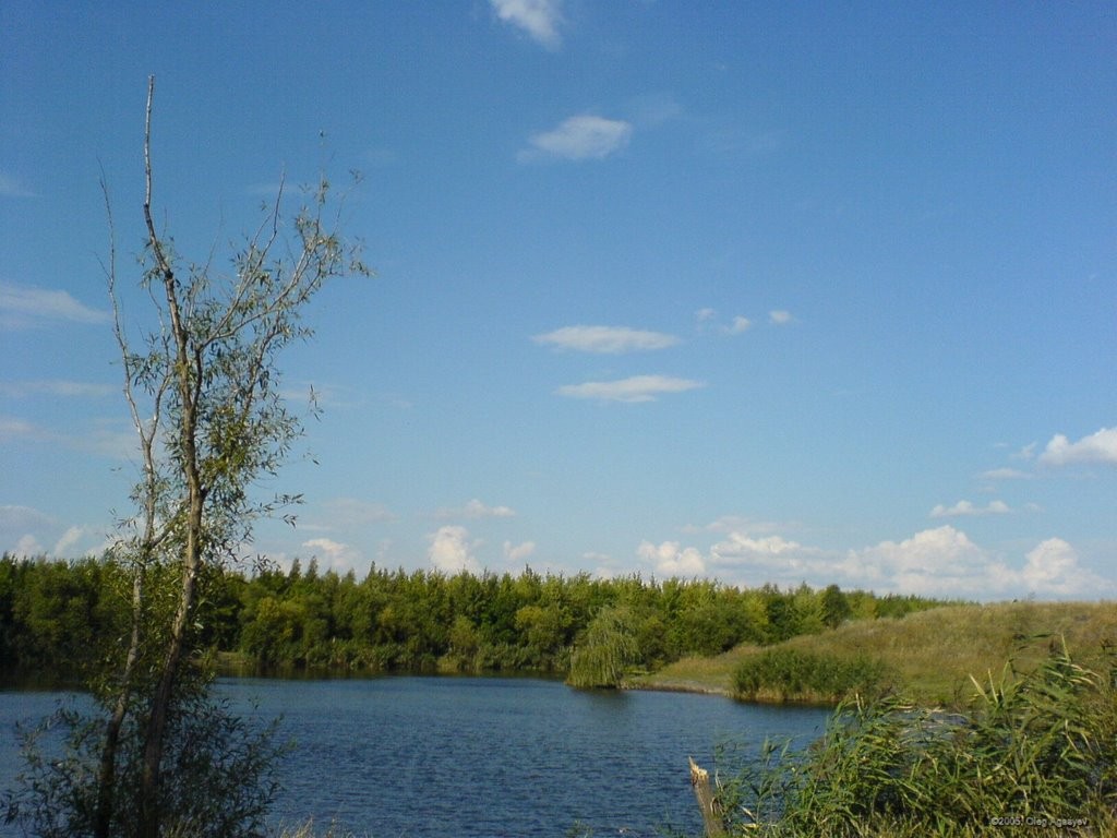 Более 6 миллионов в Запорожской области выделят на ремонт коллектора на р. Конка