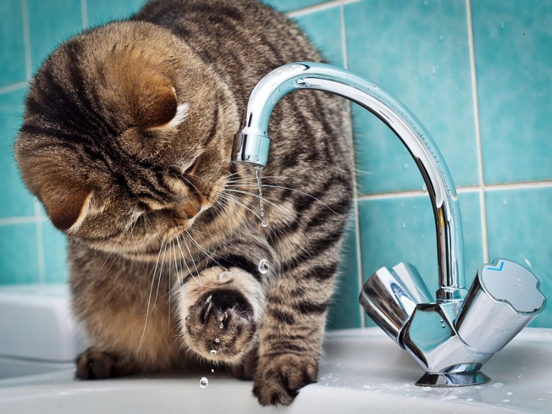 В центре Запорожья временно отключат холодную воду (АДРЕСА)