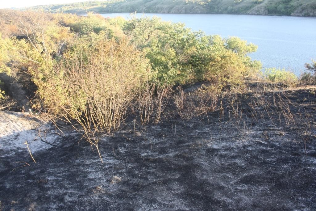 В Запорожье горела Хортица (ФОТО)