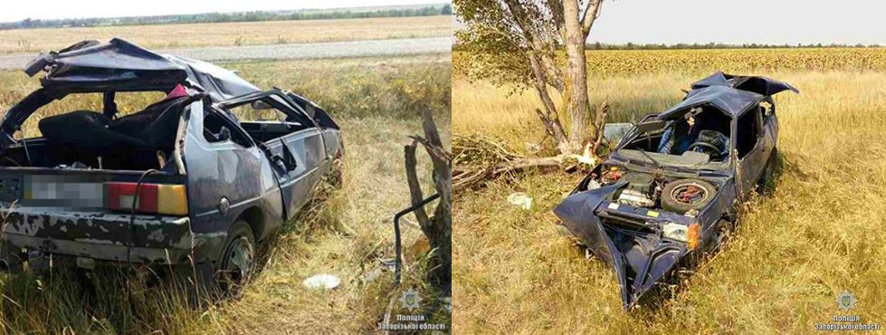 В Запорожской области легковое авто влетело в дерево, пострадал ребенок (ФОТО)