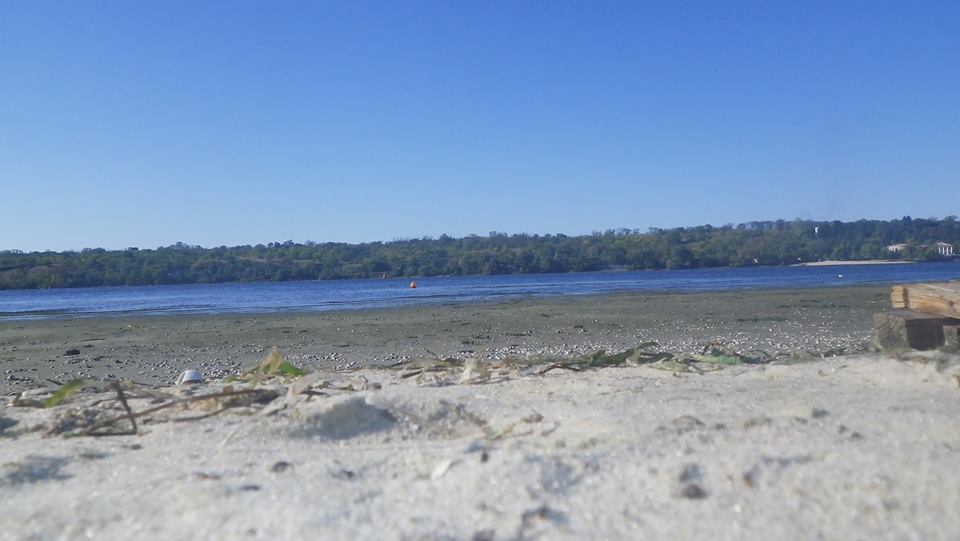 Общественники в Запорожье бьют тревогу: Днепр обмелел за несколько дней (ФОТО)