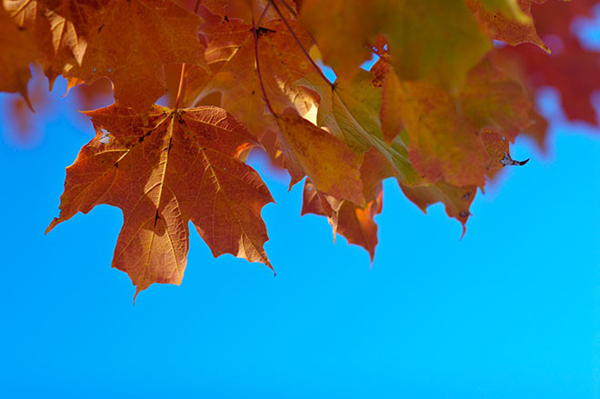 Стало известно, какая погода ждет жителей Запорожья на выходных
