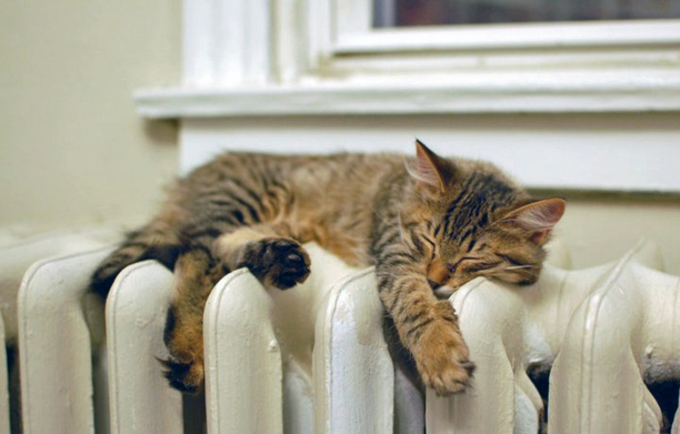 В Запорожской области старт отопительного сезона прошел без осложнений — Департамент ЖКХ