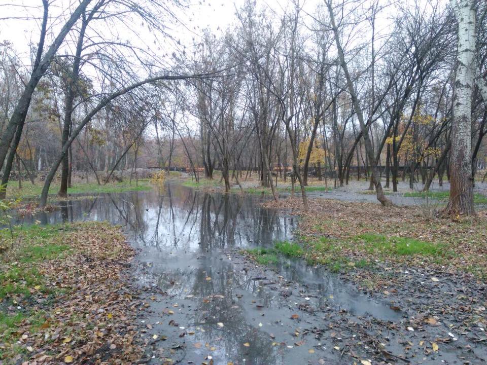Очистка озера вышла боком: в Запорожье затопило парк «Дубовый гай» (ФОТО)