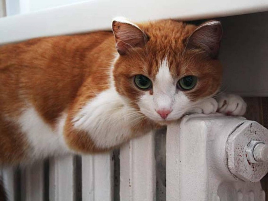 В Запорожской области без отопления остался только один дом — Департамент ЖКХ