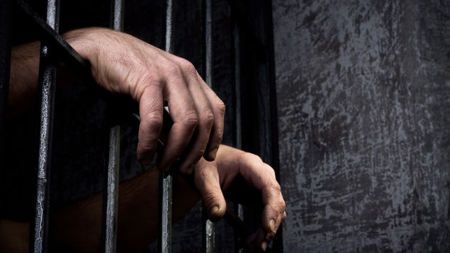 «Оборотни в погонах»: на скамье подсудимых оказались правоохранители, которые пытались откупить убийцу Сусанны Шарковой