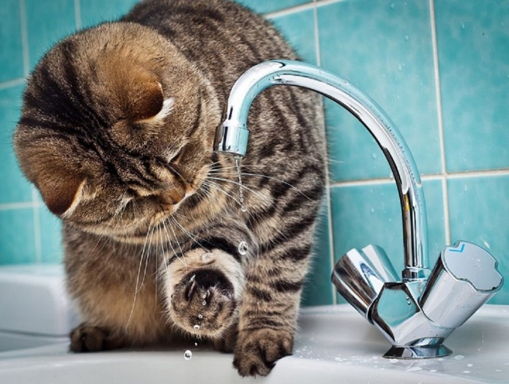 С сегодня запорожцы будут платить за холодную воду по новым тарифам — постановление НКРЭКУ