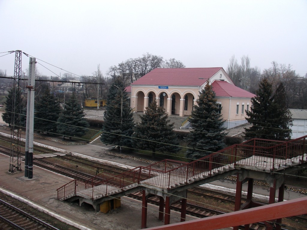 Остановок.net: в Запорожской области отменили несколько важных остановок пригородных поездов