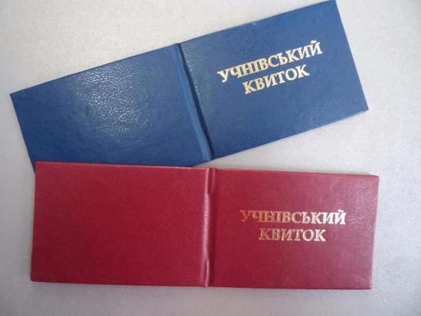 Гимназия VS школа: водитель запорожской маршрутки отказывал в льготном проезде ученице