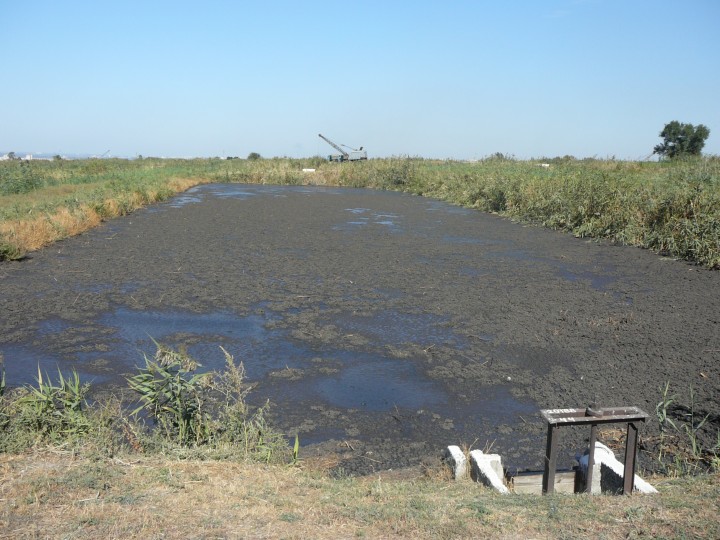 В Запорожье может появиться новое решение зловонной проблемы Коммунарского района