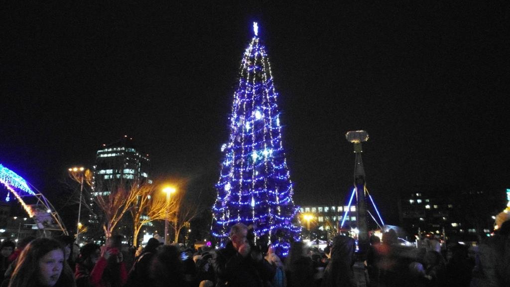 Город VS область: в Запорожье зажгли огни на главных новогодних елках (ФОТОРЕПОРТАЖ)