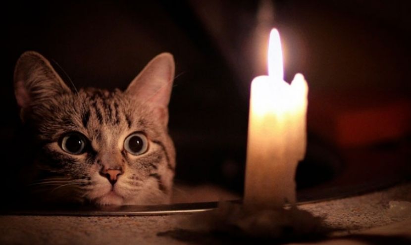 В Запорожской области люди остались без света и интернета