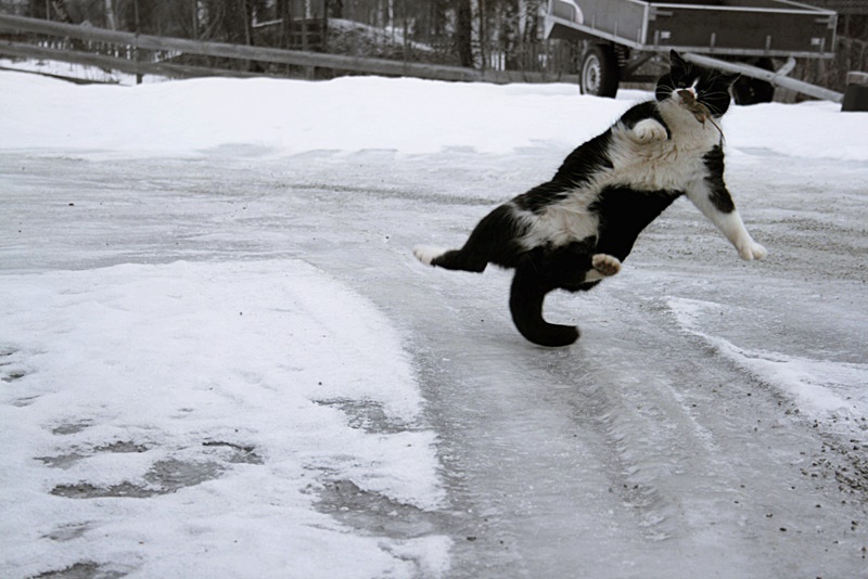 Штормовое предупреждение! В Запорожье и области ожидается гололед