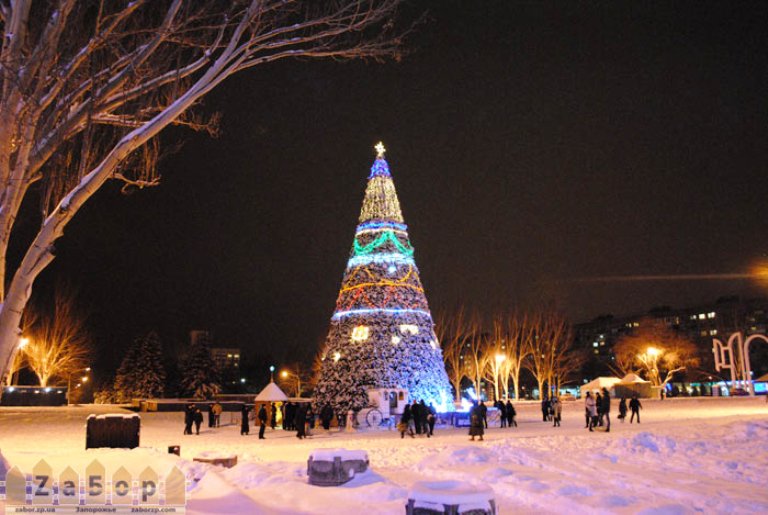 В Запорожье установят сразу три главные новогодние красавицы