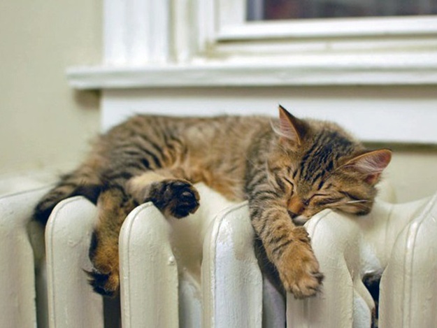 Субсидия не спасает: жителей Запорожской области шокируют счета за отопление