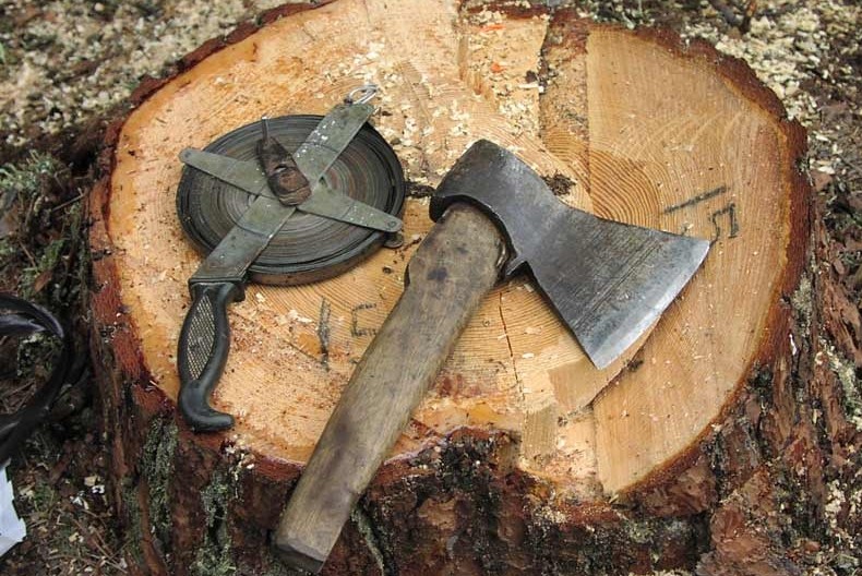 На запорожской набережной вырубят деревья из-за строительства автосалона