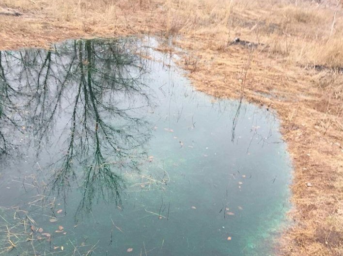 В Запорожье мужчины сливали зеленую жидкость в почву, их задержали полицейские (ФОТО)