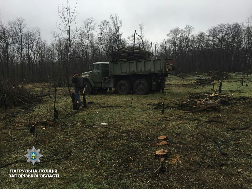 В Запорожье патрульные задержали «черных» лесорубов (ФОТО)