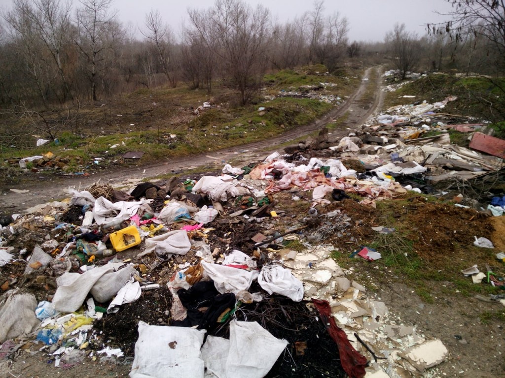 Городские власти пообещали убрать скандальную свалку мусора в Коммунарском районе (ДОКУМЕНТ)