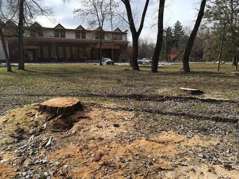 Запорожский центральный парк «пилят на дрова» — экоактивист (ФОТО)