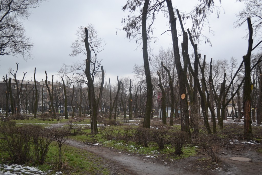 Вырубка или кронирование? В Запорожье прореживают сквер в центре города (ФОТОРЕПОРТАЖ)