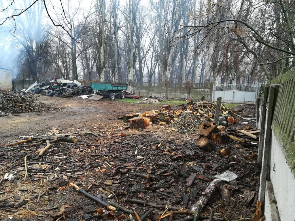 В «Дубовке» сжигают ветки деревьев: запорожские экоактивисты бьют тревогу (ФОТО, ВИДЕО)