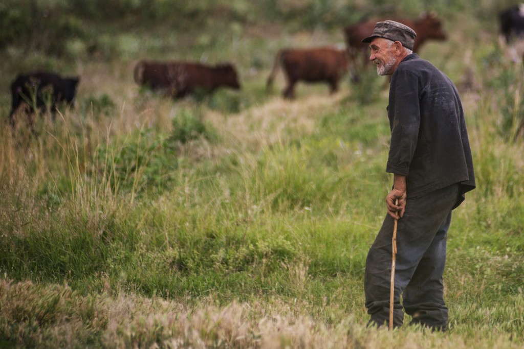 Запорожцев приглашают на выставку фотопортретов «с человеческим лицом»