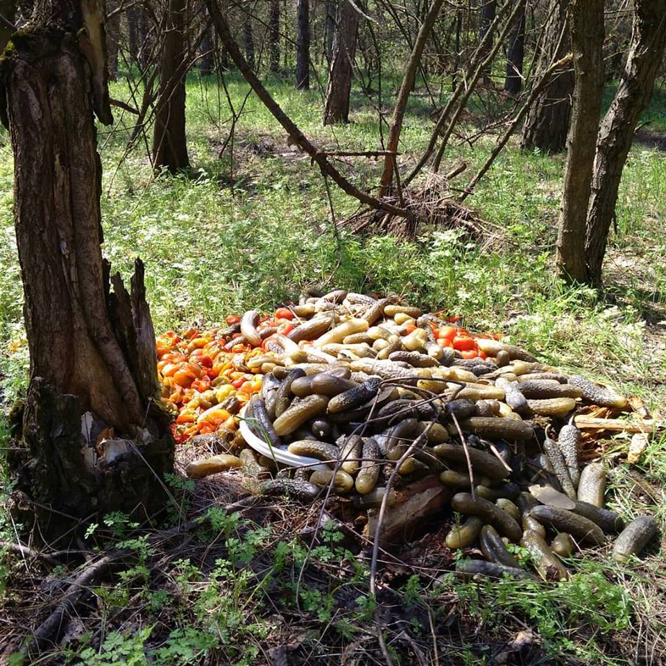 «Инсталляция свинства»: на Великом Лугу обнаружили гору выброшенной консервации (ФОТО)