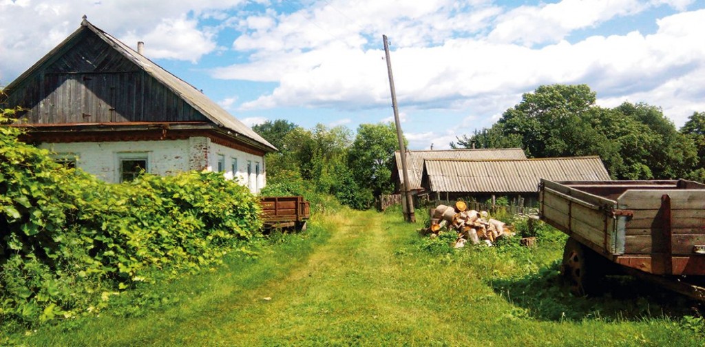 Створено план дій, який зробить успішним українське село