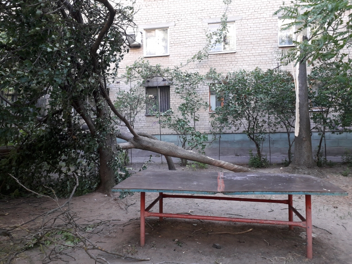 Последствия непогоды: в Запорожской области возле детской площадки рухнуло дерево (ФОТО)